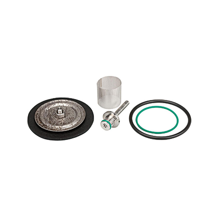 Wear part set with PTFE diaphragm