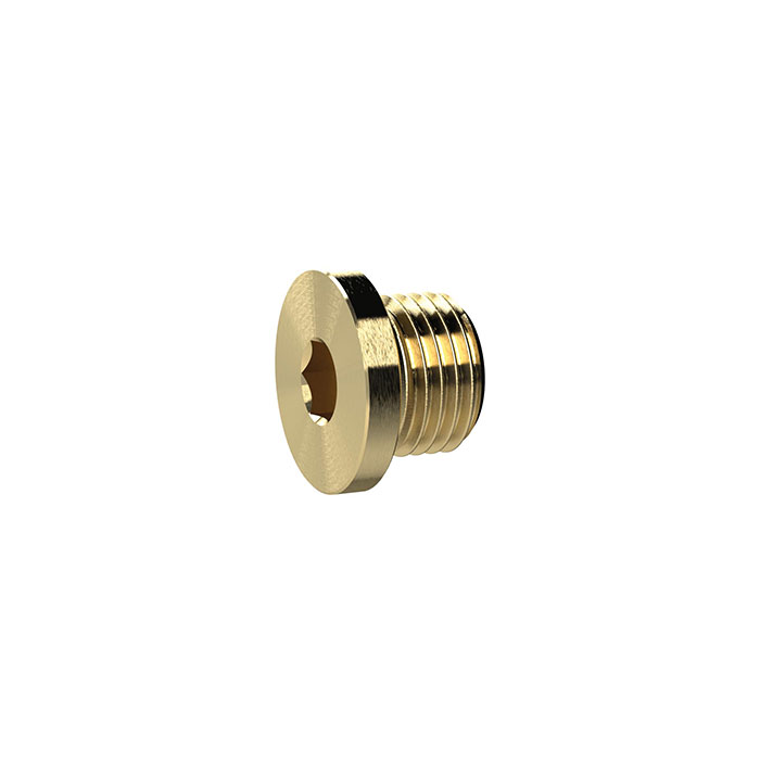 Locking screw, Hexagonal socket and flange, G 1/4, AF 6, Brass