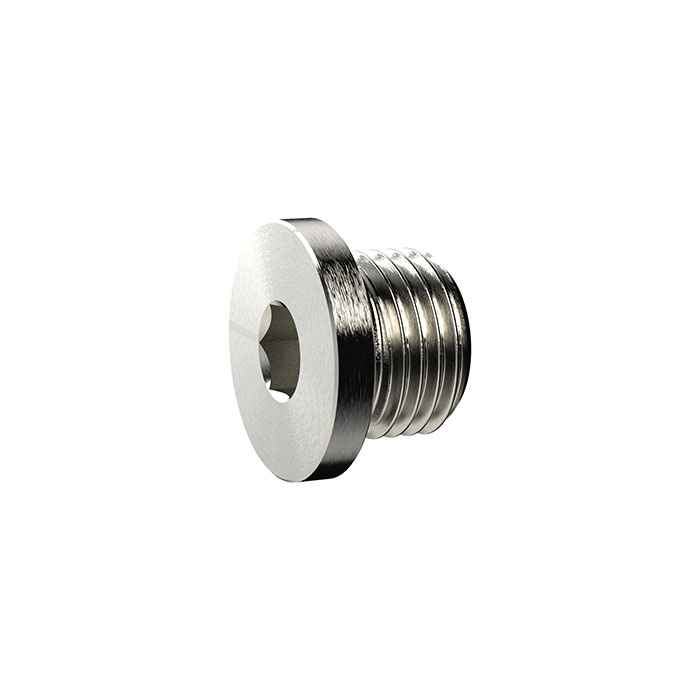 Locking screw, Hexagonal socket and flange, G 1 1/2, AF 24